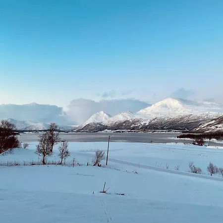 Marvelous Farmhouse With Amazing Fjord And Mountain View In Northern Norway Feriehus *