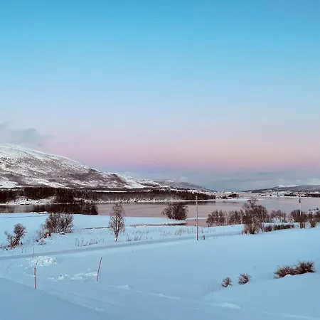 Marvelous Farmhouse With Amazing Fjord And Mountain View In Northern Norway Feriehus *